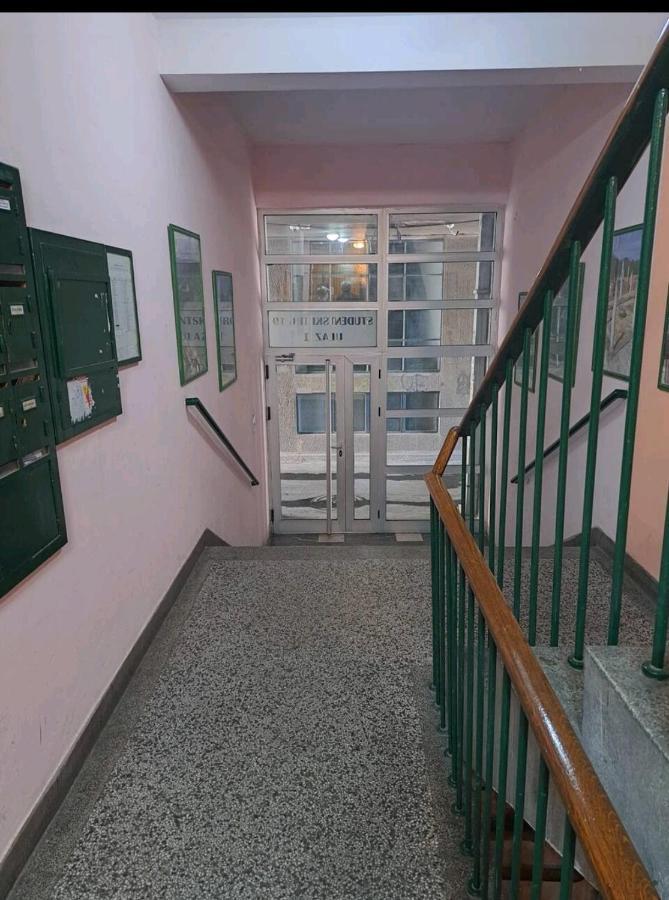 Apartman Milica 2023 Belgrado Exterior foto